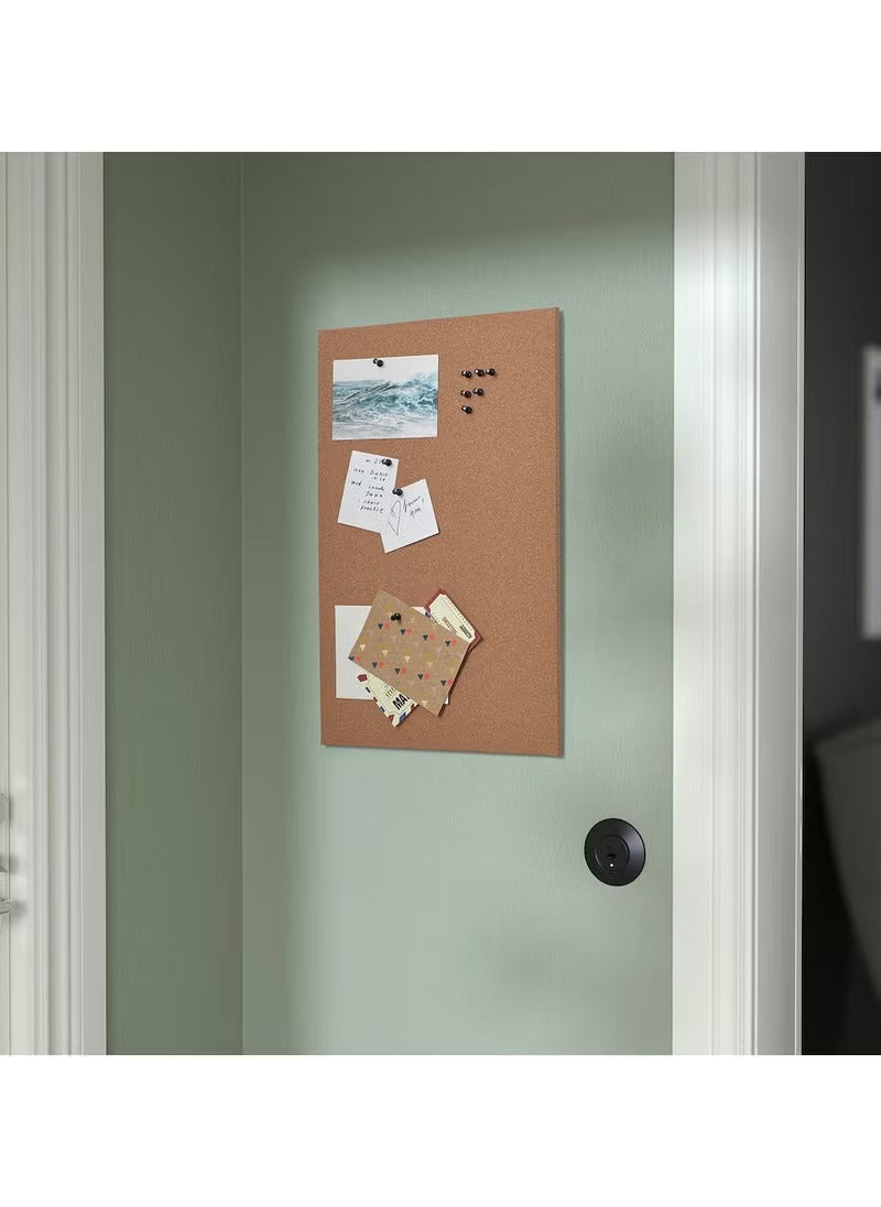 Cork Memo Board with Pins