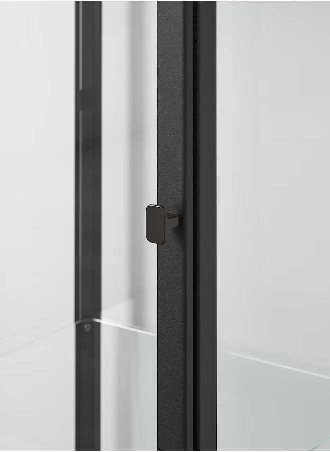 Black Glass Storage Cabinet