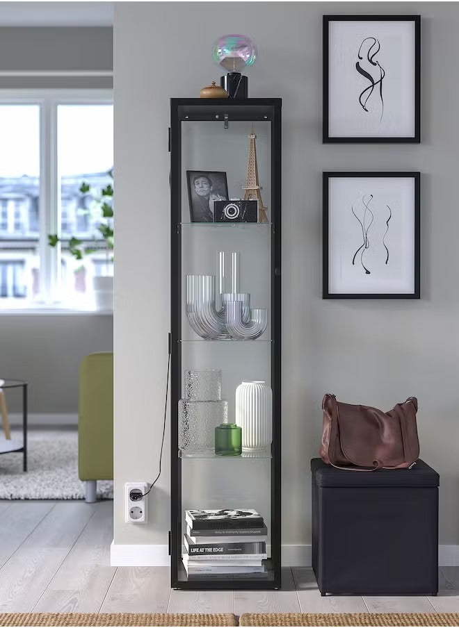 Black Glass Storage Cabinet