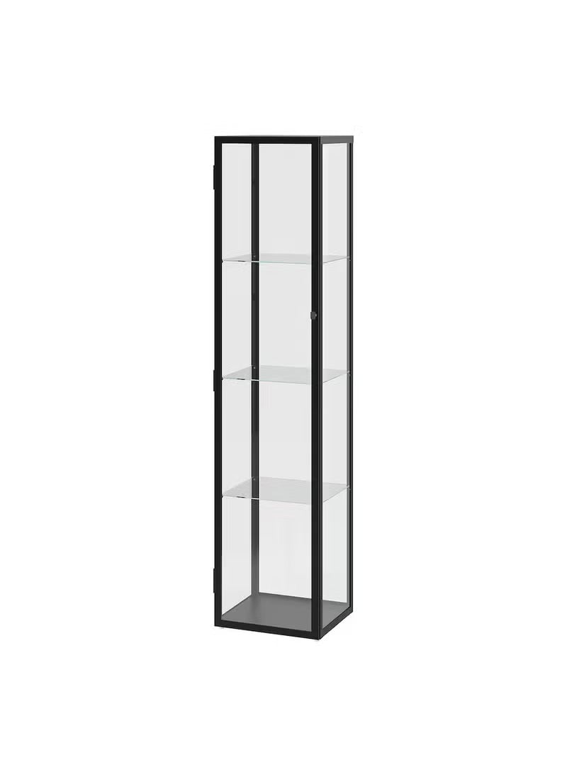 Black Glass Storage Cabinet